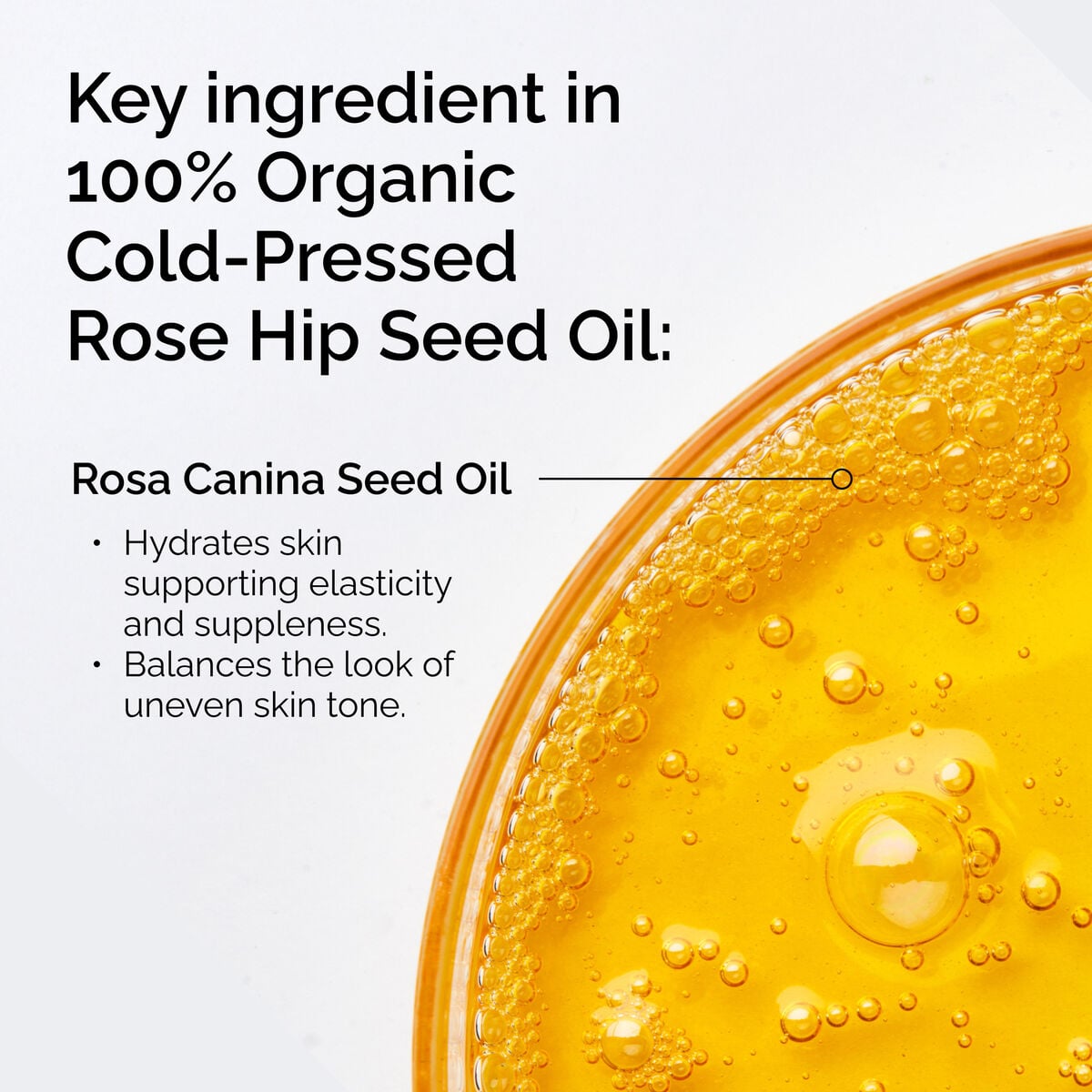 100-organic-cold-pressed-rose-hip-seed-oil-s3 FY25-D41247-ORD-Web-PDP-100-Rose-Hip-Oil-1x1-EN-2.jpg