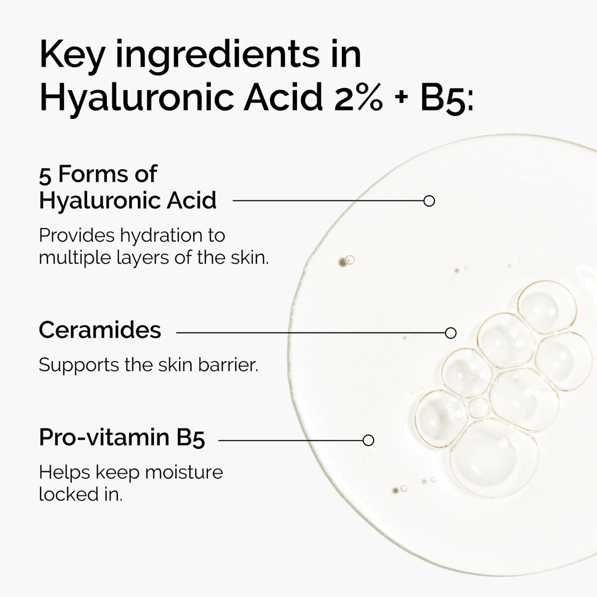 hyaluronic-acid-2-b5-with-ceramides-w0 ord-hyaluronic-acid-2pct-b5-hydrating-serum-ingredients-graphic.jpg